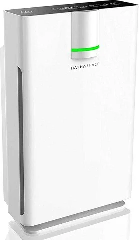 Hathaspace Smart True HEPA Air Purifier