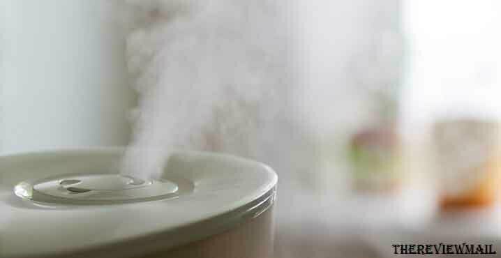 do cool mist humidifiers kill germs