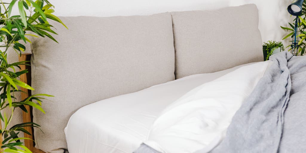 Can Pest Control Get Rid of Bed Bugs