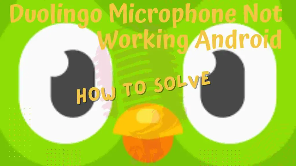 Duolingo Microphone Not Working Android